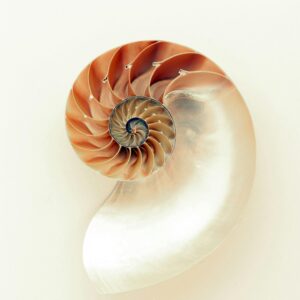 Masterklasa: Droga Ciszy